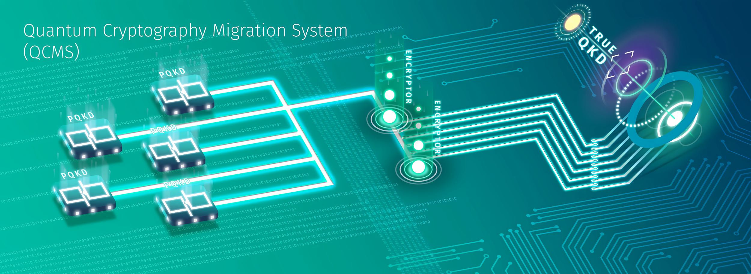 QCMS model diagram